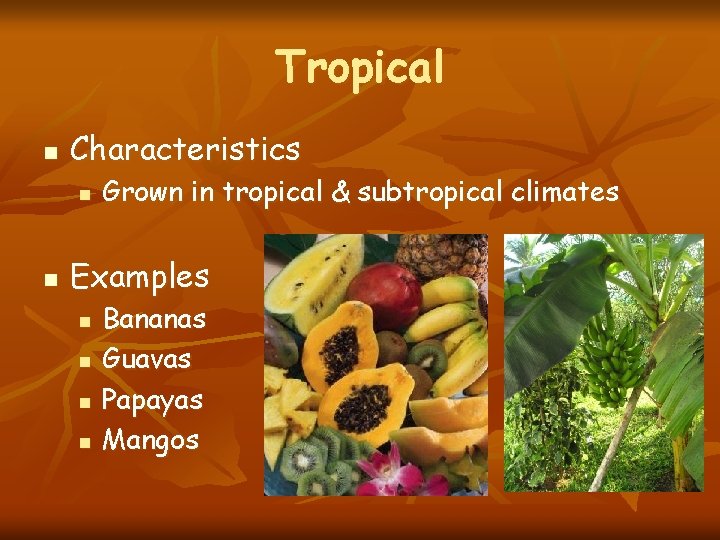 Tropical n Characteristics n n Grown in tropical & subtropical climates Examples n n