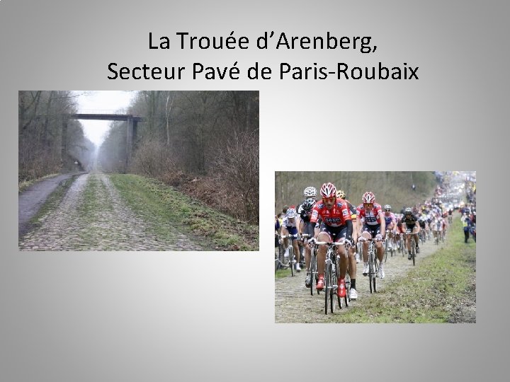 La Trouée d’Arenberg, Secteur Pavé de Paris-Roubaix 
