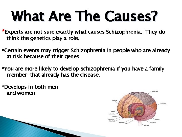 What Are The Causes? *Experts are not sure exactly what causes Schizophrenia. They do