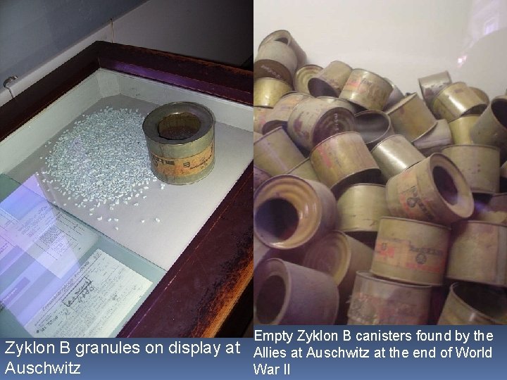 Zyklon B granules on display at Auschwitz Empty Zyklon B canisters found by the