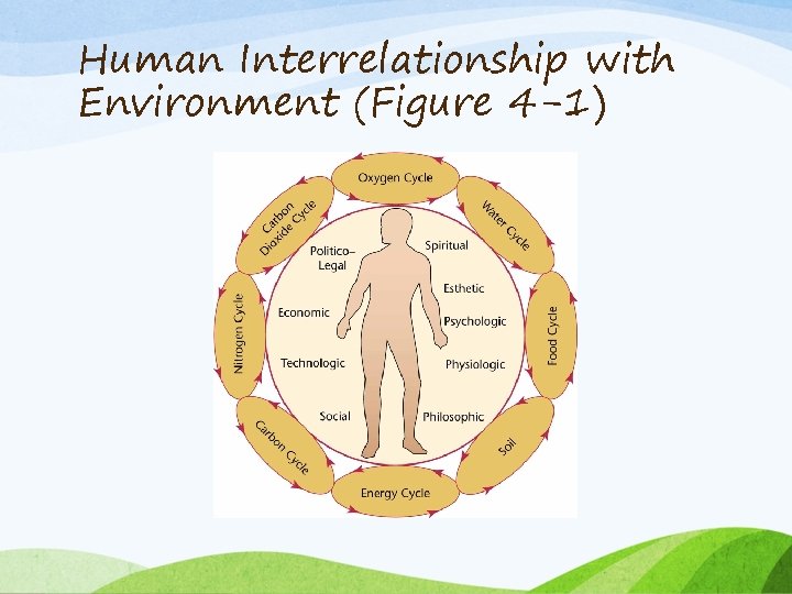 Human Interrelationship with Environment (Figure 4 -1) 