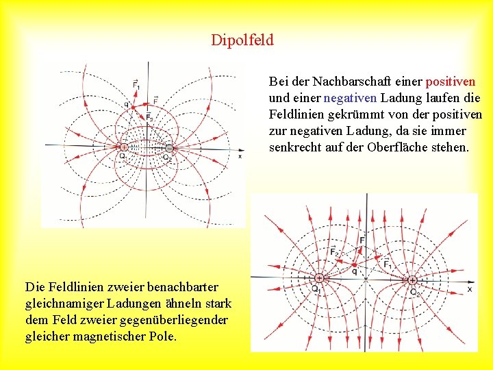 Dipolfeld Bei der Nachbarschaft einer positiven und einer negativen Ladung laufen die Feldlinien gekrümmt