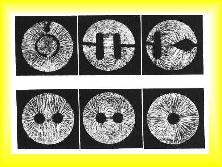 Elektrische Feldlinien (Grießkörnerbilder) 