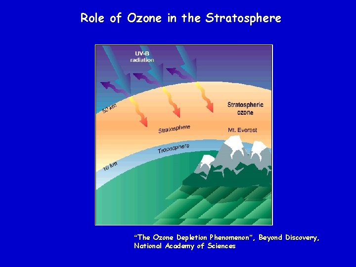 Role of Ozone in the Stratosphere “The Ozone Depletion Phenomenon”, Beyond Discovery, National Academy