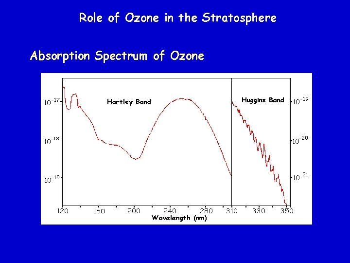 Role of Ozone in the Stratosphere Absorption Spectrum of Ozone 