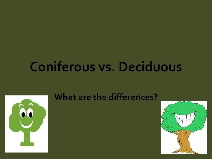 Coniferous vs. Deciduous What are the differences? 