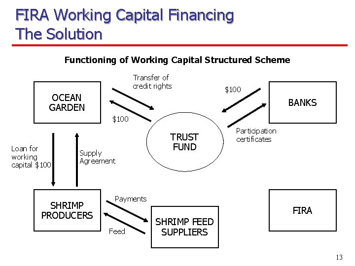 FIRA Working Capital Financing The Solution Functioning of Working Capital Structured Scheme Transfer of