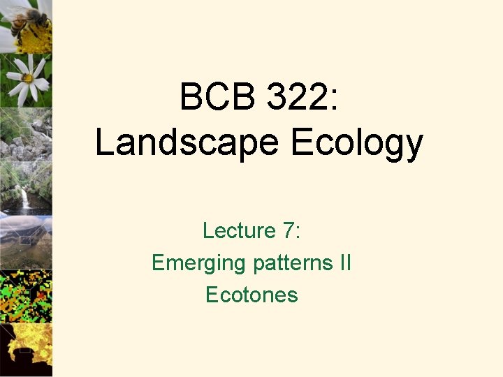BCB 322: Landscape Ecology Lecture 7: Emerging patterns II Ecotones 
