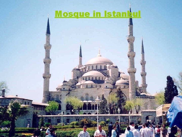 Mosque in Istanbul 