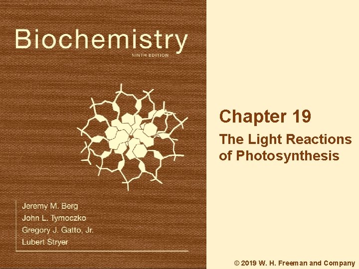 Chapter 19 The Light Reactions of Photosynthesis © 2019 W. H. Freeman and Company