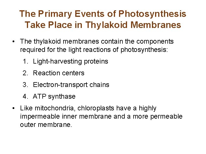 The Primary Events of Photosynthesis Take Place in Thylakoid Membranes • The thylakoid membranes