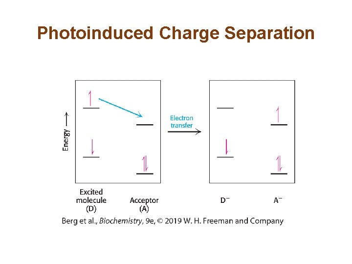 Photoinduced Charge Separation 