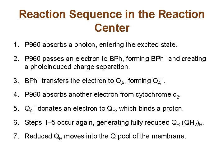 Reaction Sequence in the Reaction Center 1. P 960 absorbs a photon, entering the