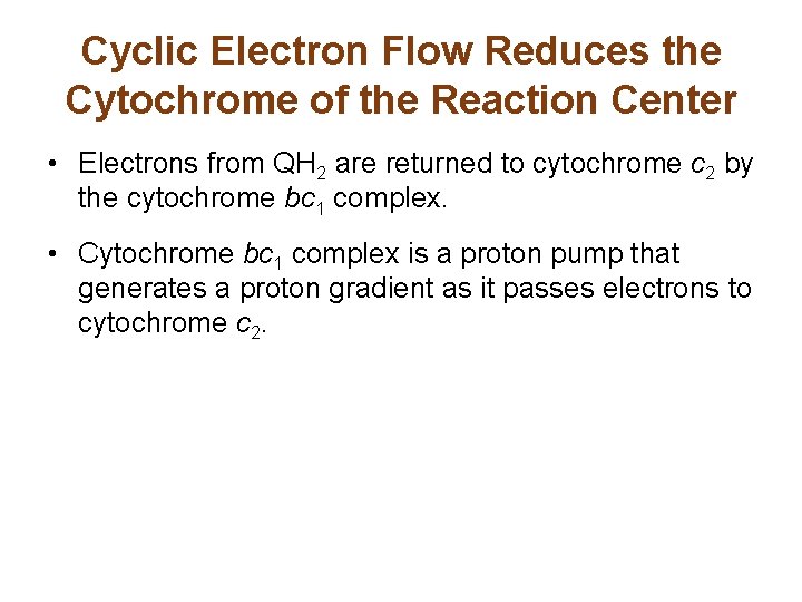 Cyclic Electron Flow Reduces the Cytochrome of the Reaction Center • Electrons from QH