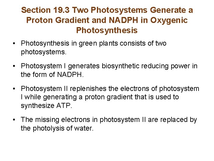 Section 19. 3 Two Photosystems Generate a Proton Gradient and NADPH in Oxygenic Photosynthesis