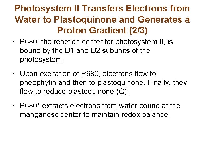Photosystem II Transfers Electrons from Water to Plastoquinone and Generates a Proton Gradient (2/3)