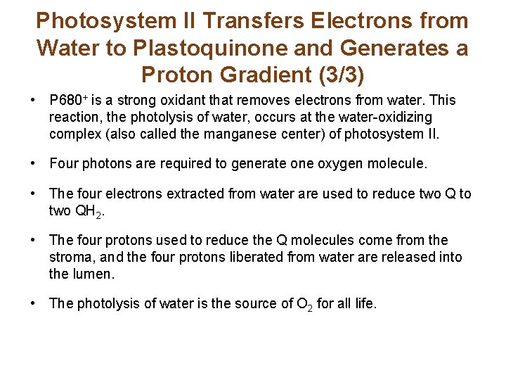 Photosystem II Transfers Electrons from Water to Plastoquinone and Generates a Proton Gradient (3/3)