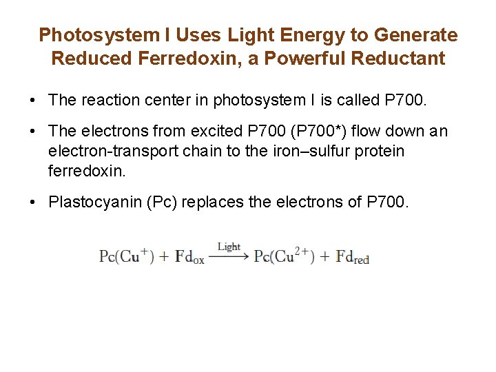 Photosystem I Uses Light Energy to Generate Reduced Ferredoxin, a Powerful Reductant • The