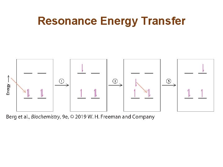Resonance Energy Transfer 