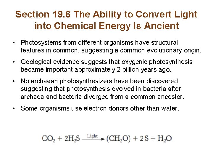 Section 19. 6 The Ability to Convert Light into Chemical Energy Is Ancient •