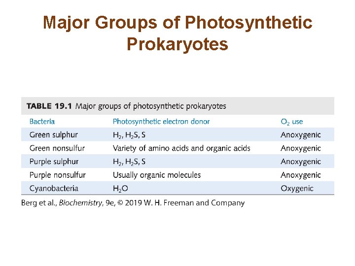 Major Groups of Photosynthetic Prokaryotes 