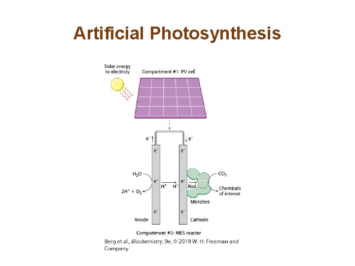 Artificial Photosynthesis 