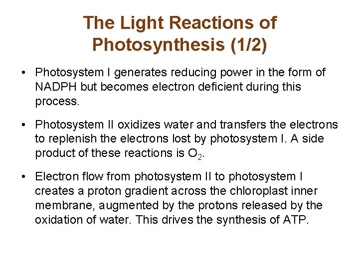 The Light Reactions of Photosynthesis (1/2) • Photosystem I generates reducing power in the
