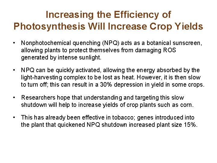 Increasing the Efficiency of Photosynthesis Will Increase Crop Yields • Nonphotochemical quenching (NPQ) acts