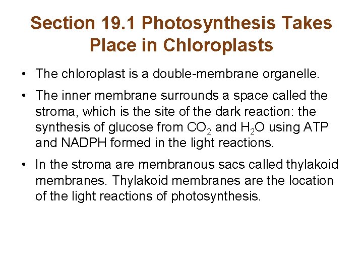 Section 19. 1 Photosynthesis Takes Place in Chloroplasts • The chloroplast is a double-membrane