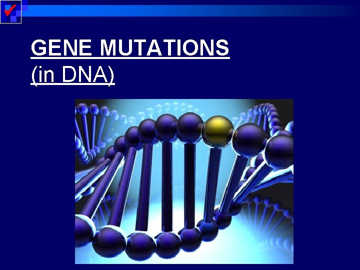  GENE MUTATIONS (in DNA) 