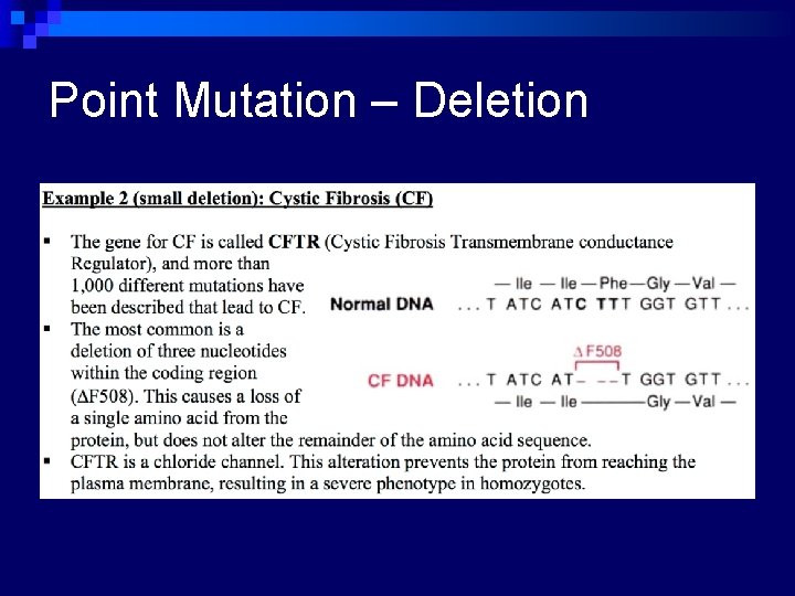 Point Mutation – Deletion 