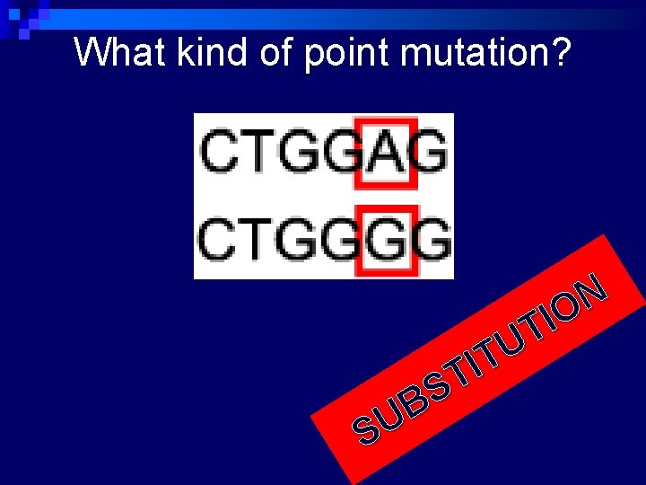 What kind of point mutation? N O I T U T I T S