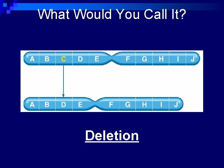 What Would You Call It? Deletion 