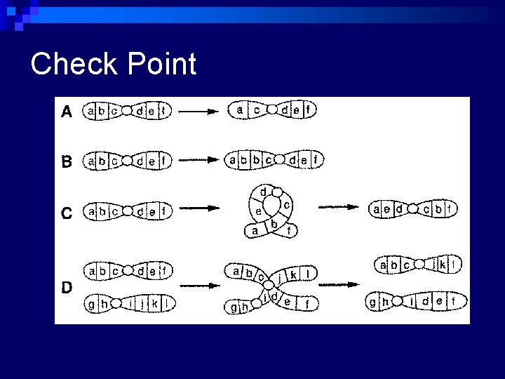 Check Point 