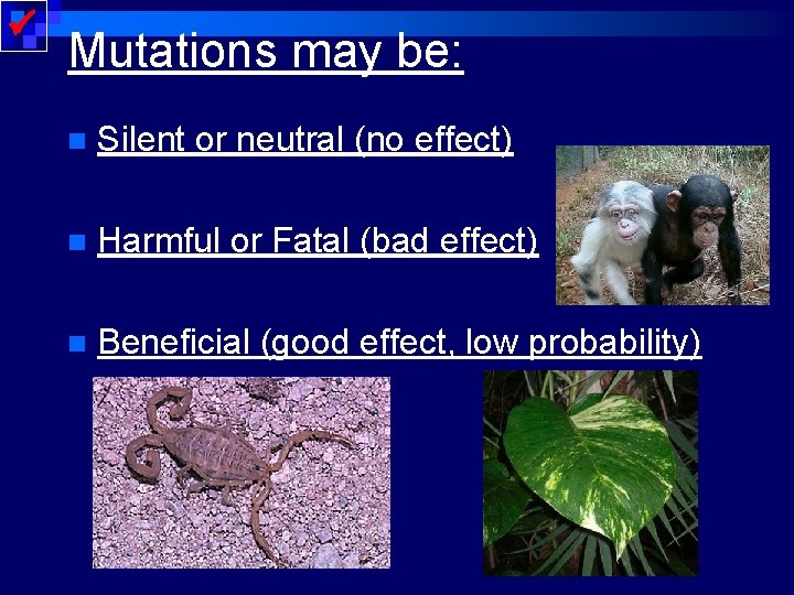  Mutations may be: n Silent or neutral (no effect) n Harmful or Fatal