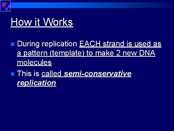  How it Works During replication EACH strand is used as a pattern (template)