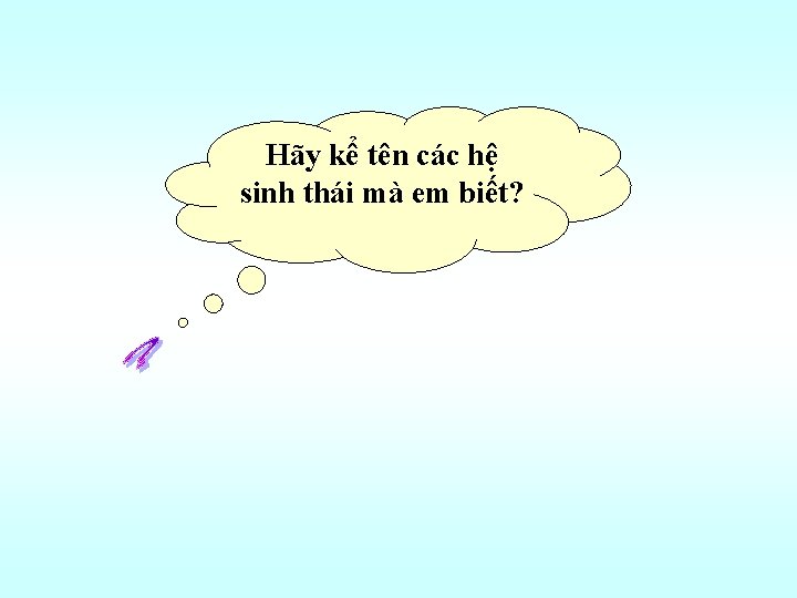 Hãy kể tên các hệ sinh thái mà em biết? 