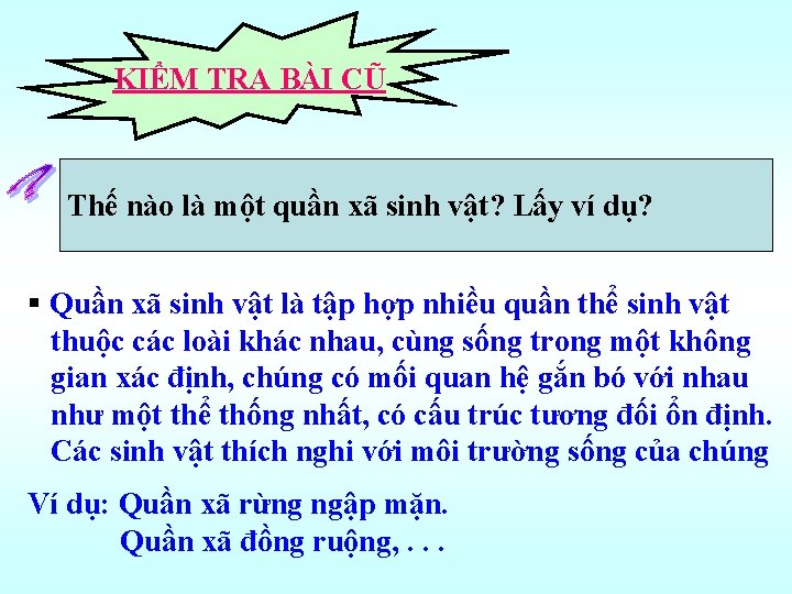 KIỂM TRA BÀI CŨ Thế nào là một quần xã sinh vật? Lấy ví