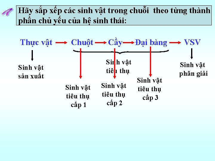 Hãy sắp xếp các sinh vật trong chuỗi theo từng thành phần chủ yếu