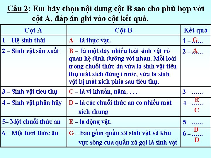 Câu 2: Em hãy chọn nội dung cột B sao cho phù hợp với