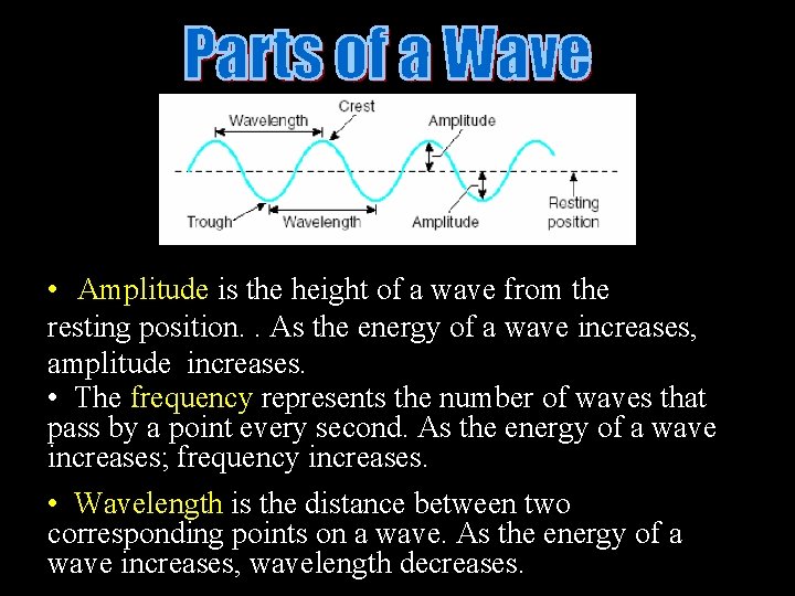 • Amplitude is the height of a wave from the resting position. . • Amplitude is the height of a wave from the resting position. .