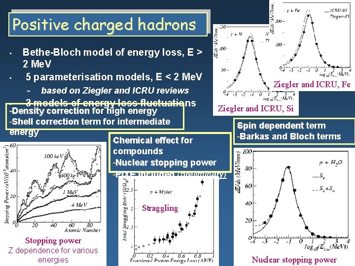 Positive charged hadrons • • • Bethe-Bloch model of energy loss, E > 2