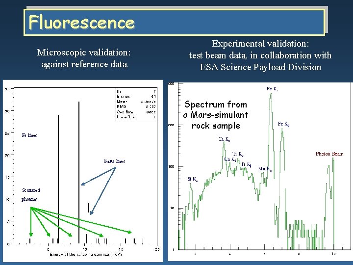 Fluorescence Microscopic validation: against reference data Experimental validation: test beam data, in collaboration with