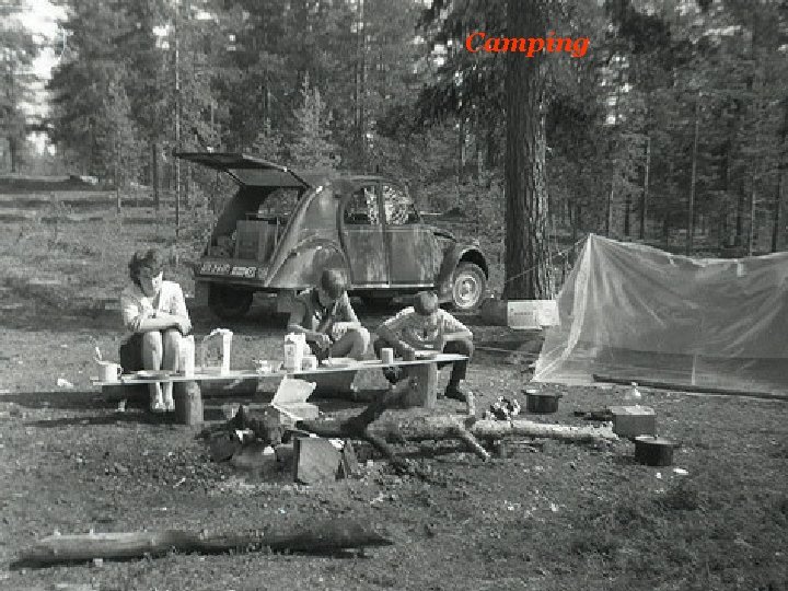 Camping 