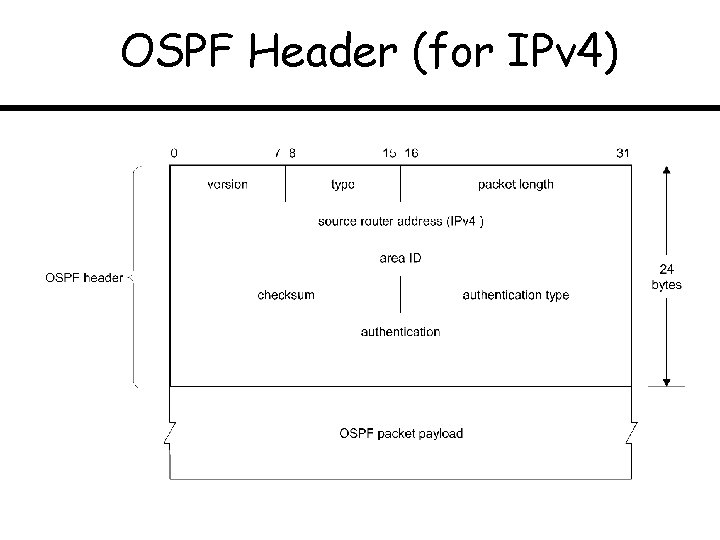 OSPF Header (for IPv 4) 