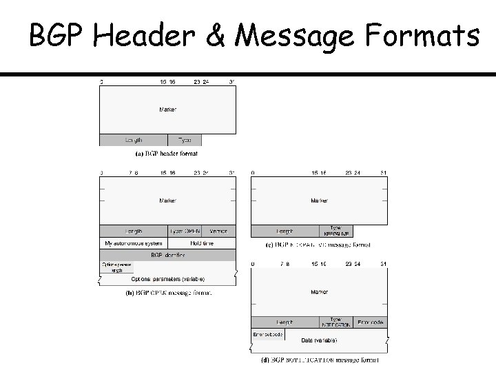 BGP Header & Message Formats 