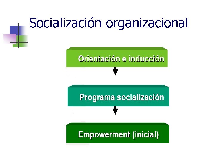 Socialización organizacional 