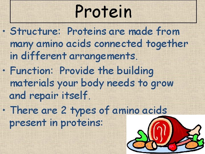 Protein • Structure: Proteins are made from many amino acids connected together in different