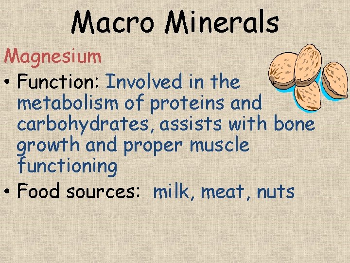 Macro Minerals Magnesium • Function: Involved in the metabolism of proteins and carbohydrates, assists