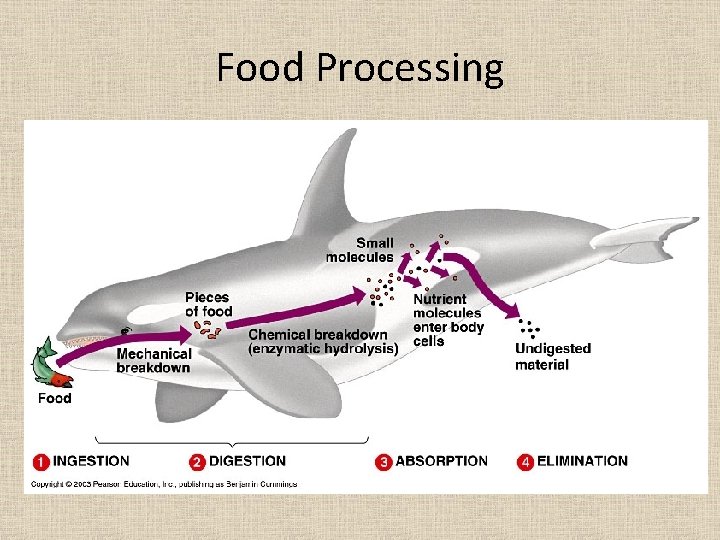 Food Processing 